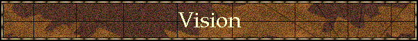 Vision